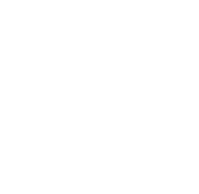 bas_neon_logo