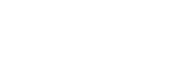 Mobiscreen-logo-wit